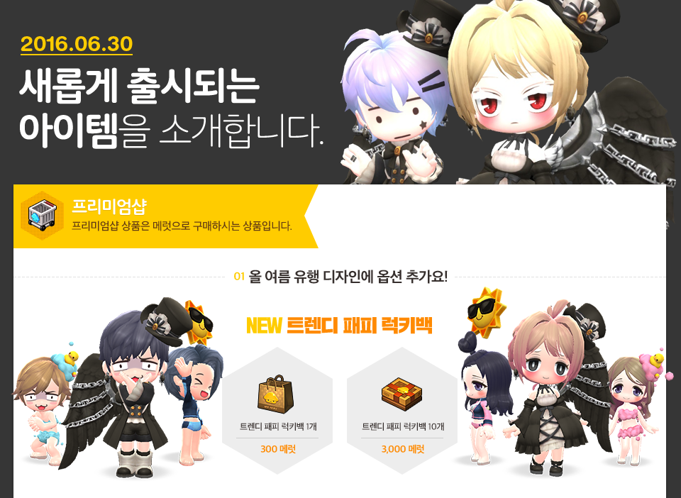 아이템 소개