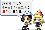 NPC 메이플 운영자