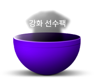 강화 선수팩